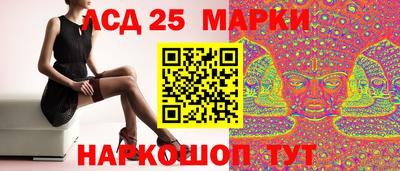 дживик Кингисепп