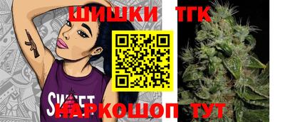 дживик Кингисепп