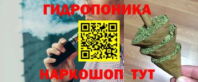 дживик Кингисепп