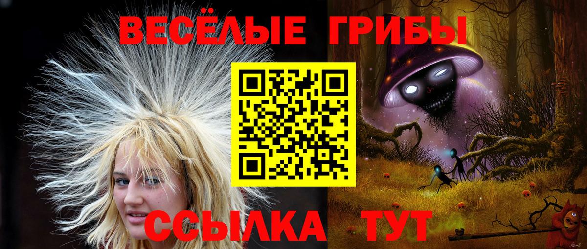 Армавир  Псилоцибиновые грибы Psilocybe  Вход с VPN 